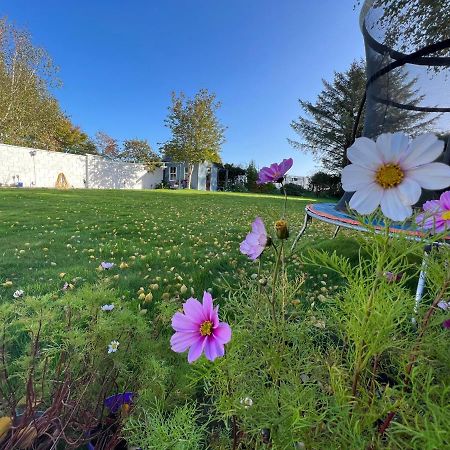 Hillview Bed and Breakfast Enniskerry Esterno foto