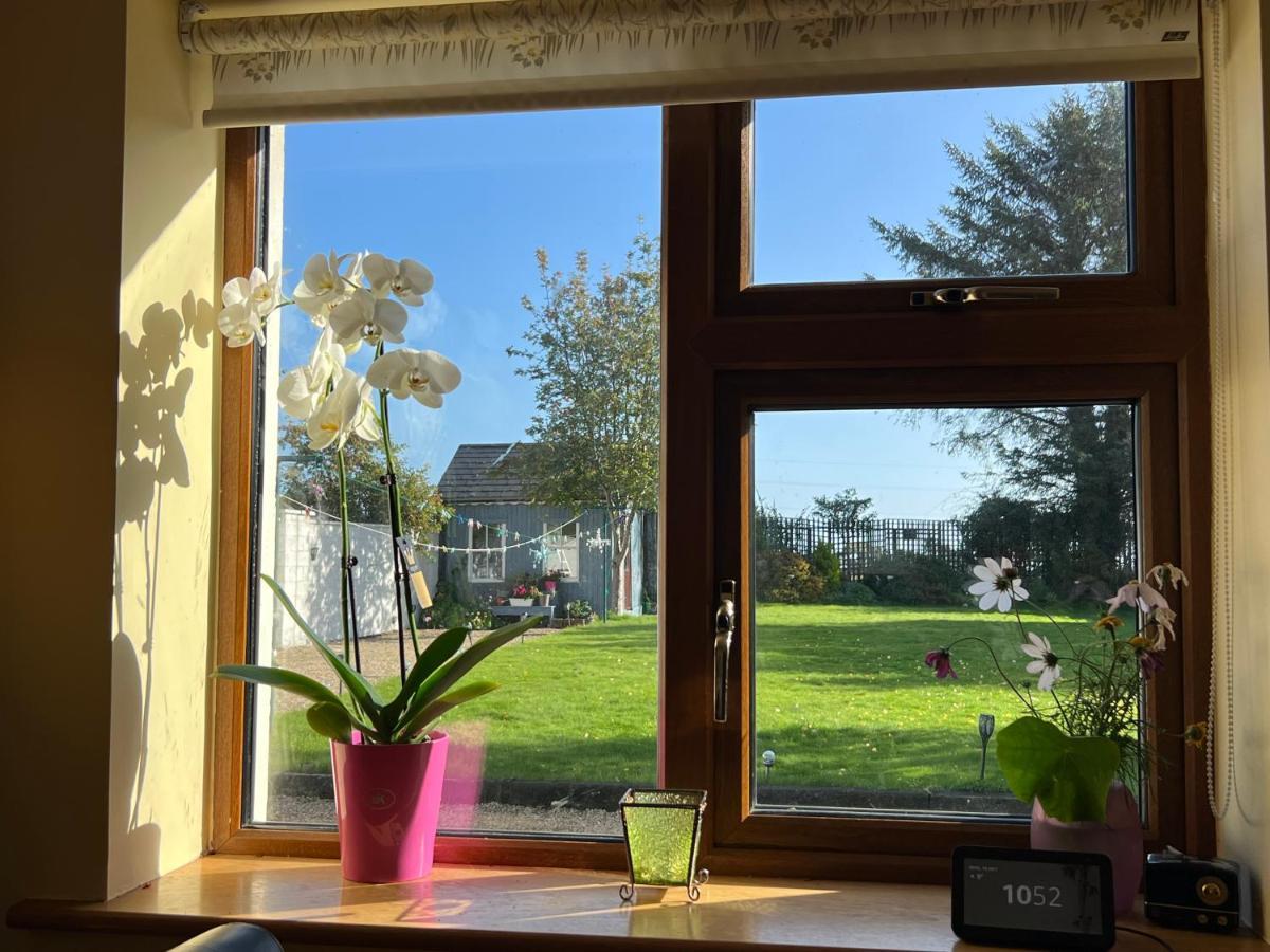 Hillview Bed and Breakfast Enniskerry Esterno foto